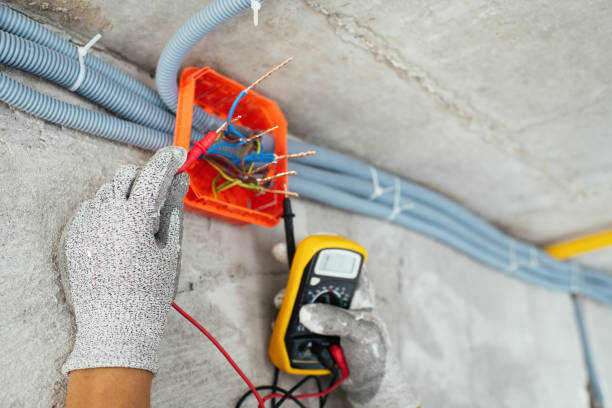 Best Electric Panel Repair  in Akron, IA